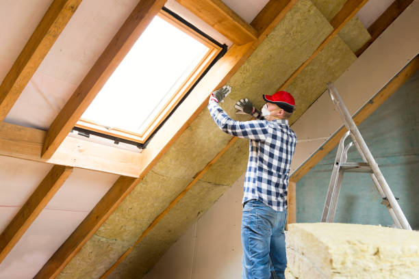 Reliable Downs, IL Insulation Removal & Installation Solutions